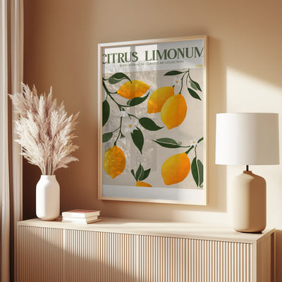 Citrus Limonum - Lemon