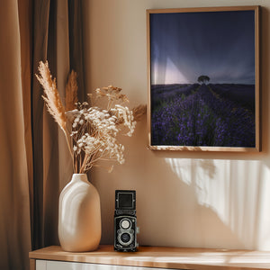 The tree and the lavender