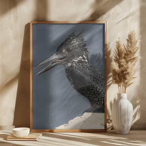 Giant Kingfisher