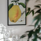 Kiefer's Hybrid Pear Lithograph