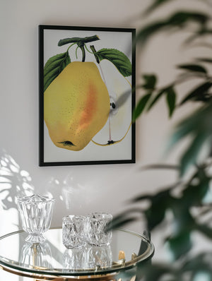 Kiefer's Hybrid Pear Lithograph