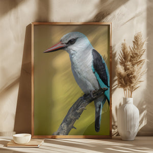 Woodland Kingfisher.