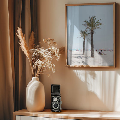Palm tree at the beach