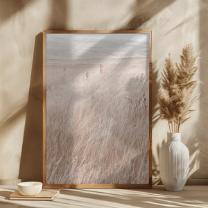 Grass in the mountains