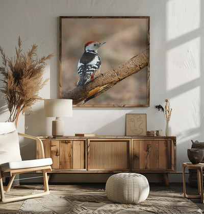 The little middle woodpecker.