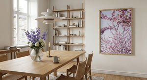 Pink Cherry Blossoms