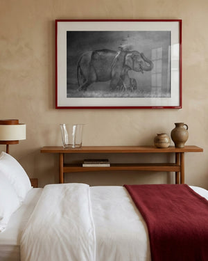 Elephant mother and cub