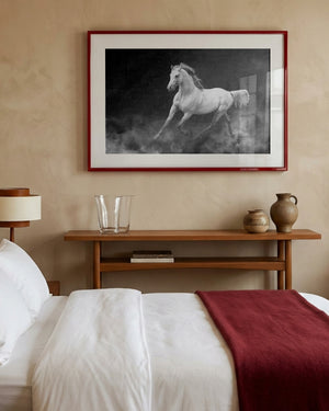 Fergana horse