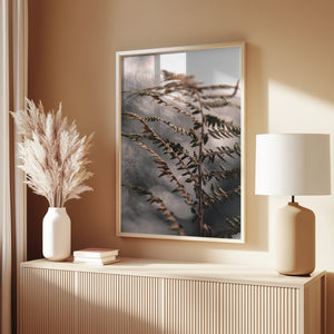 Autumn fern