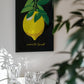 Limoni Di Sorrento