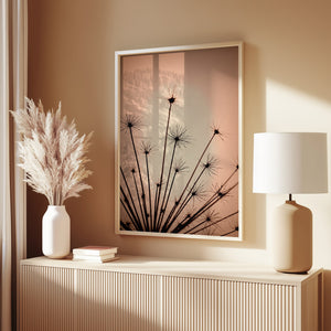 Seeds in light
