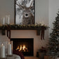 Winter Stag