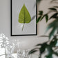 Single Green Leaf With Intricate Vein Patterns