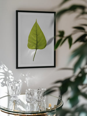 Single Green Leaf With Intricate Vein Patterns