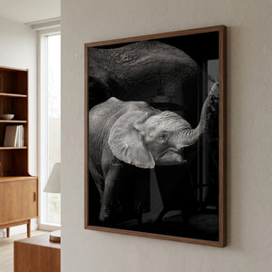 Baby elephant under mum's protecction
