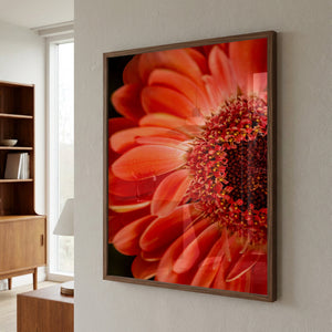 Orange blomst