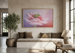 Blush Symphony