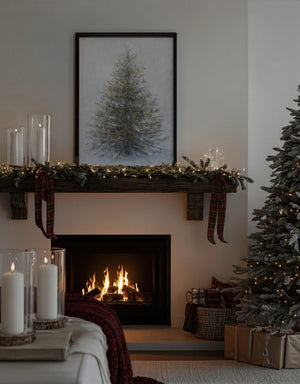 Christmas Tree  In Snow