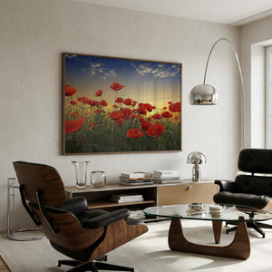 Poppies