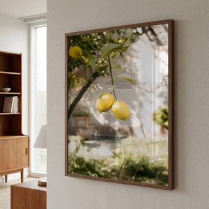 Lemons In the Garden