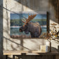 Moose