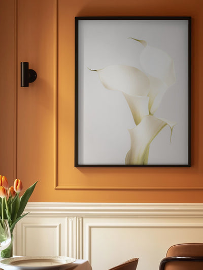 White Calla Lily No 3