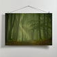 Magic forest