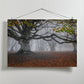 Autumn scenery