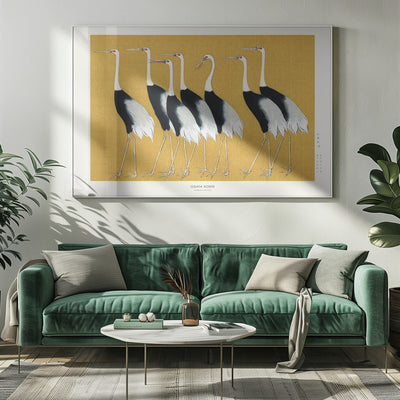 Japanese Red Crown Crane