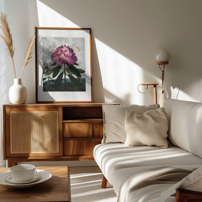 The Pontic Rhododendron from The Temple of Flora (1807)