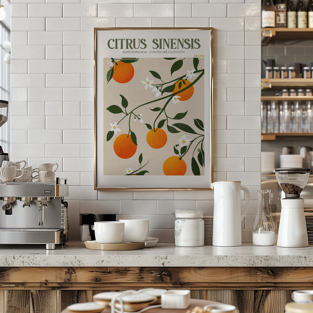 Citrus poster – Plakatbar.no