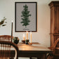 Oh Tannebaum (green)