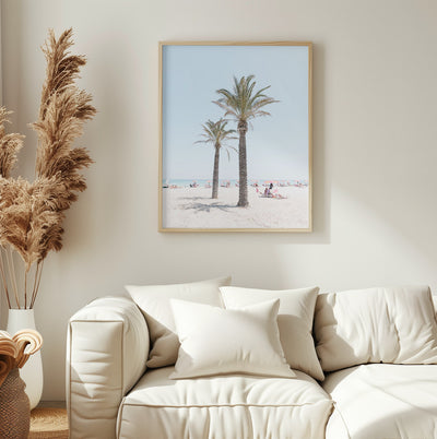 Palm tree at the beach
