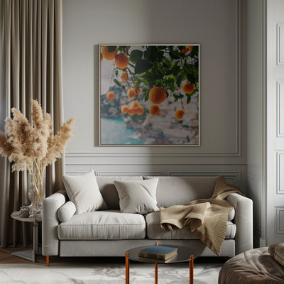 Amalfi Coast Oranges