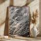 Grass in winter