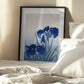 Iris Flowers