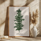 Oh Tannebaum (green)