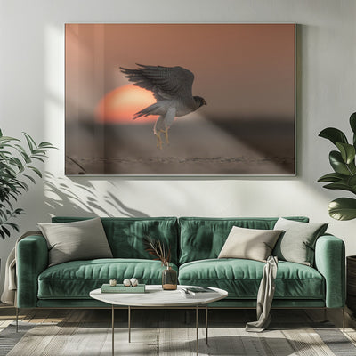 Taking off into the sunset