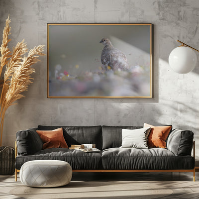 Rype - plakat - poster