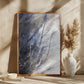 A Winter Morning 7