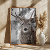 Winter Stag