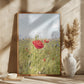 Poppy Flower