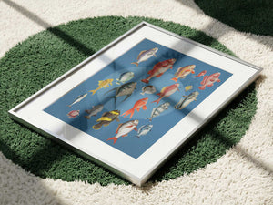 Colorful Ocean Fish Collection
