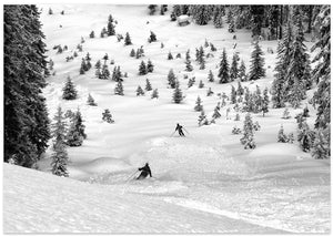 Freeriders