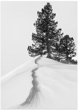 About the snow and forms
