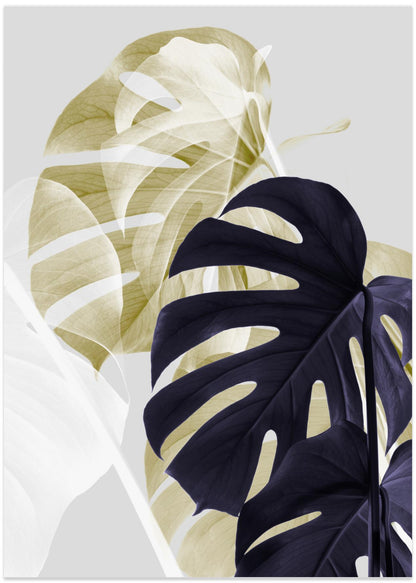 Monstera Creative 06