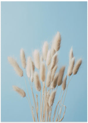 Bunny Grass No 3