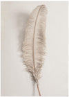 Feather_002