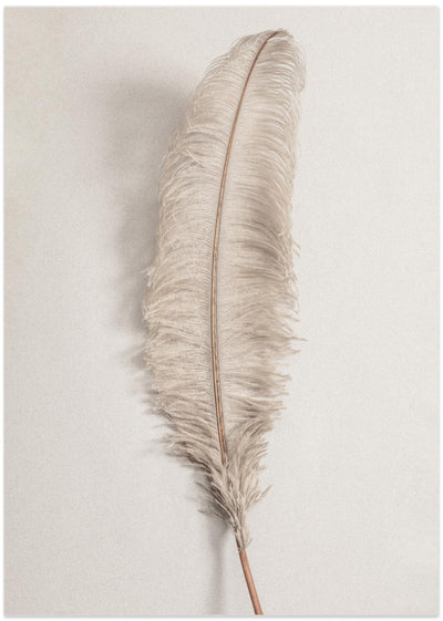 Feather_002