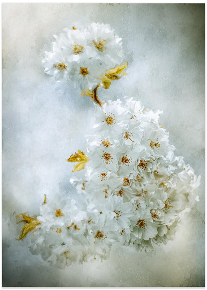 Delicate White Blossoms